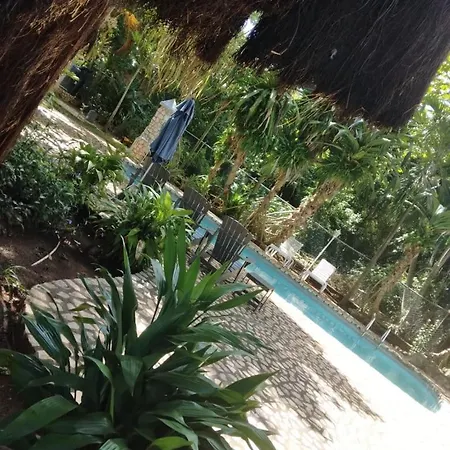 Ella Villa Apartments